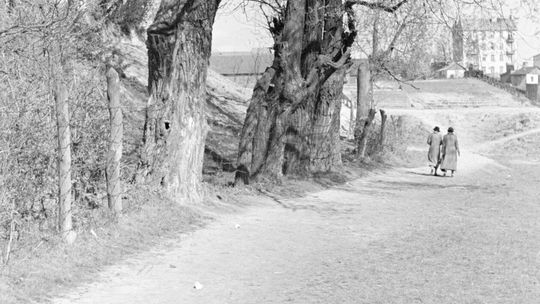Lublin - okolice rzeki Czechówki