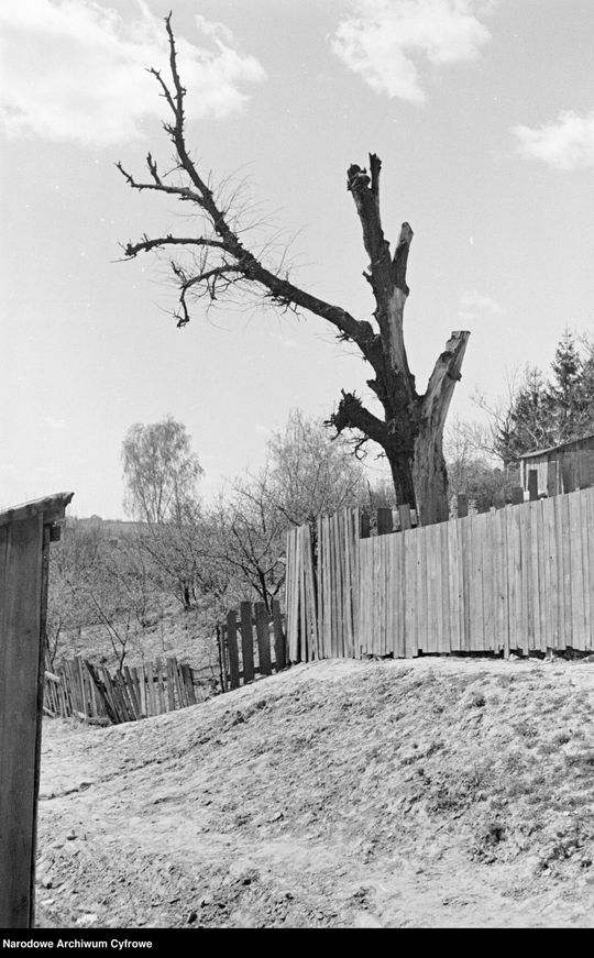 Lublin - okolice rzeki Czechówki