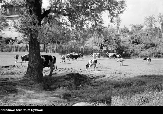 Lublin - okolice rzeki Czechówki
