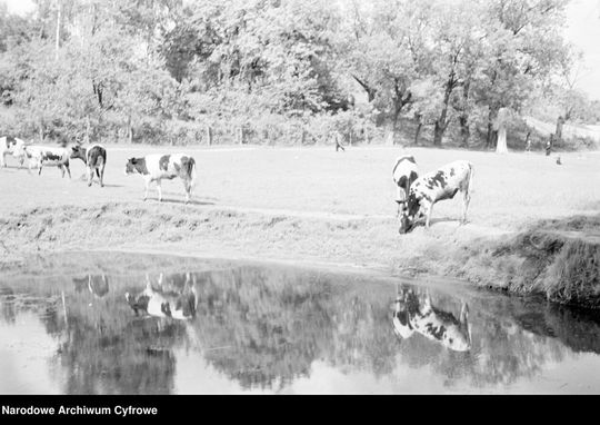 Lublin - okolice rzeki Czechówki