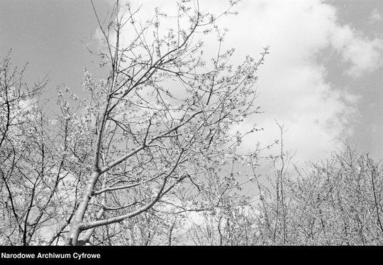 Lublin - okolice rzeki Czechówki