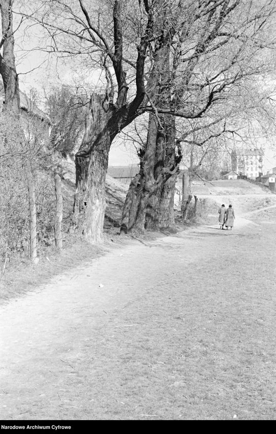 Lublin - okolice rzeki Czechówki