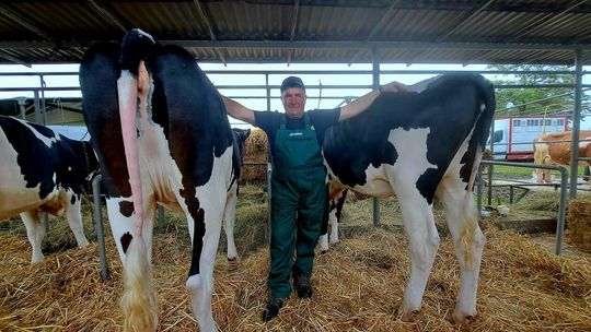 35. Wystawa Zwierząt Hodowlanych, Maszyn i Urządzeń Rolniczych - Sitno 2023