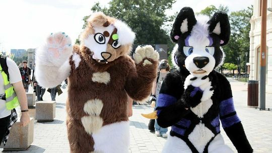Fursuit Walk w Lublinie Fursuit Walk w Lublinie