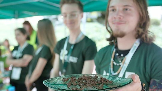 Letni Dzień Otwarty w UP