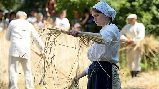 Żniwowanie w skansenie 