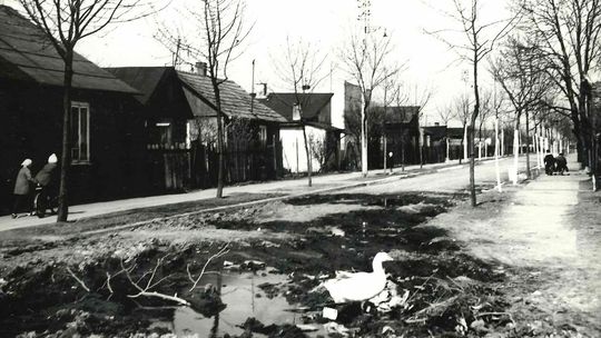 Bronowice i Kośminek na starych zdjęciach