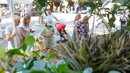 Święto botaniki w Ogrodzie Botanicznym UMCS