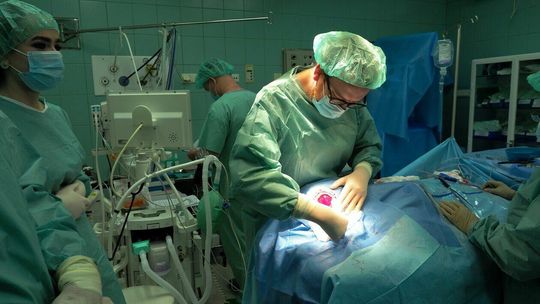 Wszczepienie matrycy imitującą skórę