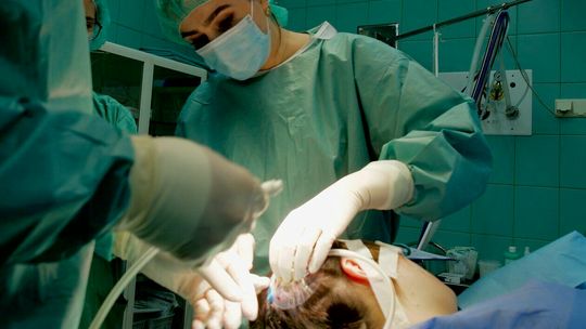 Lekarze wszczepiają matrycę