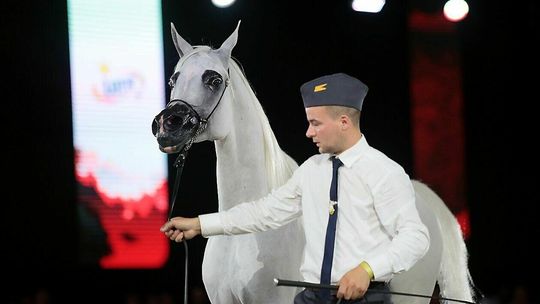 Aukcja Pride of Poland Aukcja Pride of Poland