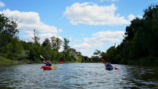 Kajakiem po Bugu. Warto zajrzeć do Różanki
