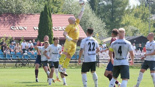 Cisy Nałęczów - Hetman Gołąb