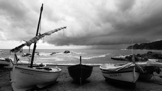 Zamojski Przegląd Fotografii - nagrodzone i wyróżnione zdjęcia