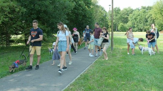 Spacer z podopiecznymi Schroniska dla Bezdomnych Zwierząt Spacer z podopiecznymi Schroniska dla Bezdomnych Zwierząt