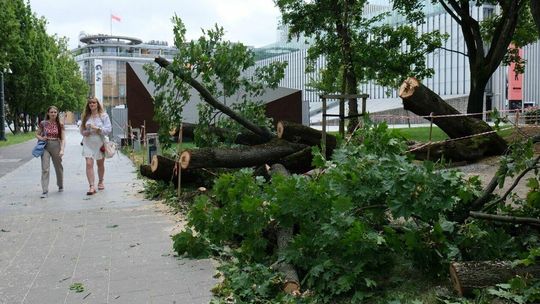 Wichura o mały włos nie uszkodziła pomnik prezydenta Lecha Kaczyńskiego