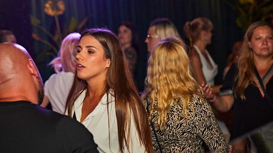 Pszczoła tańczy w najlepszy czas