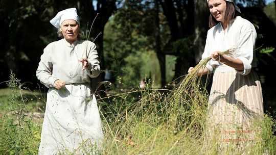 Niedziela z Lnem w Skansenie 