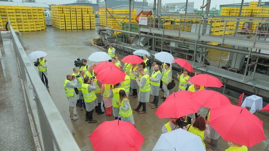 Nowa linia produkcyjna przecieru pomidorowego w firnie Dawtona, zakład w Milejowie 