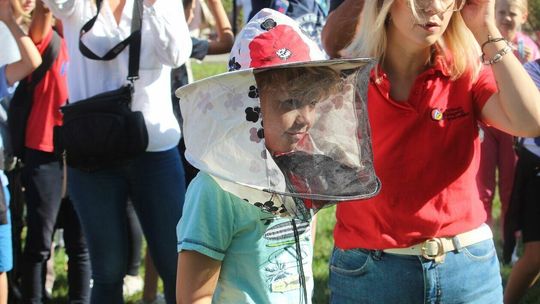 Biała Podlaska. Pierwsze miodobranie w miejskiej pasiece Biała Podlaska. Pierwsze miodobranie w miejskiej pasiece