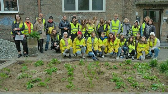 Ogrody deszczowe powstały przy ul. Obrońców Pokoju