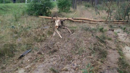 Wypadek w powiecie biłgorajskim