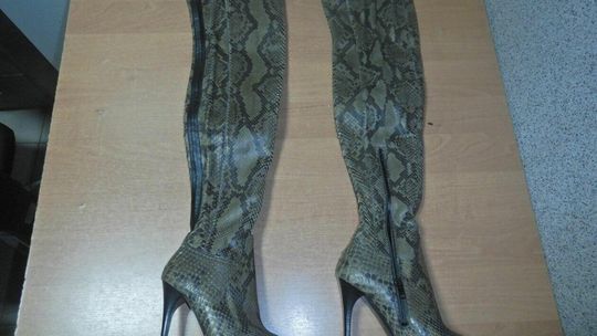 Zagrożone gatunki zwierząt i roślin na granicy