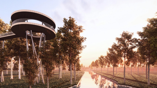 Koncepcja ścieżki w koronach drzew