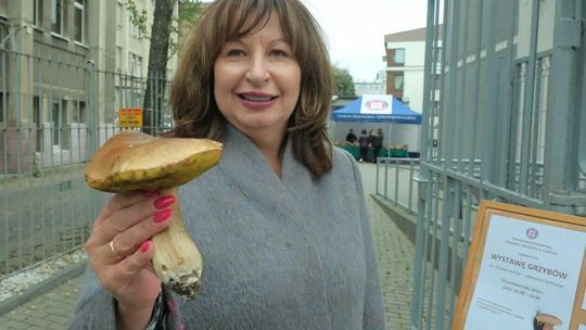 Wystawa grzybów w Powiatowej Stacji Sanitarno - Epidemiologiczna w Lublinie 