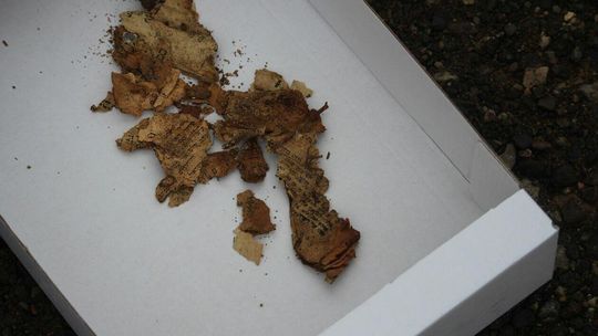 Prace archeologiczne na Szkolnym Dworze w Białej Podlaskiej 