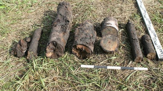 fosa w grodach czerwieńskich