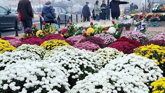 Targowy czwartek w Zamościu przed 1 listopada