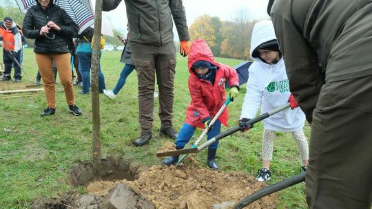 Lublin proekologicznie: festiwal przyrody na Rurach a nowy mural na Astorii Lublin proekologicznie: festiwal przyrody na Rurach a nowy mural na Astorii