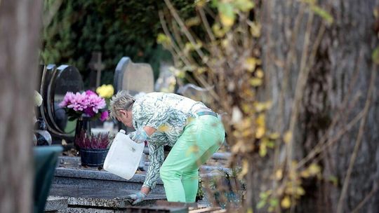 Lublinianie sprzątają groby bliskich przy ul. Droga Męczenników Majdanka