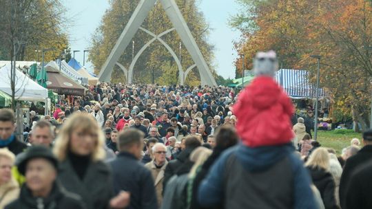 Cmentarz komunalny na Majdanku w Lublinie - 1 listopada 2023 Cmentarz komunalny na Majdanku w Lublinie - 1 listopada 2023