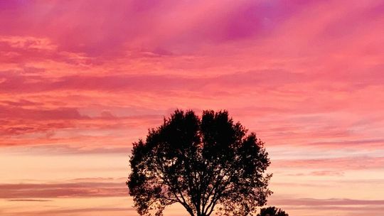 Listopadowy zachód słońca w obiektywie Czytelników Dziennika Wschodniego