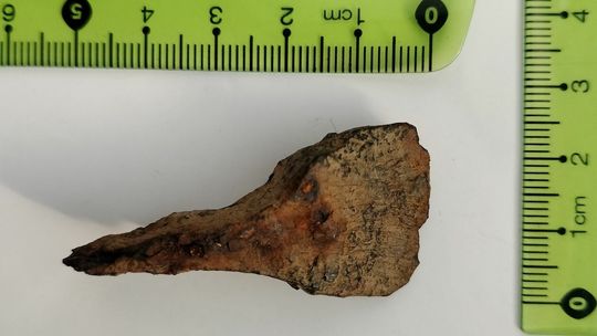 Znaleziska pod Biłgorajem Znaleziska pod Biłgorajem