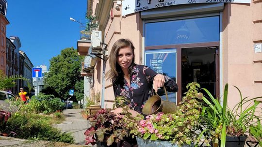 GASTRONOMIA: Kawiarnia Cyngwajs – zielony róg Szewskiej