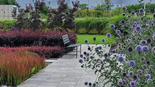 FIRMY: Modern-EXPO  (Strefa Ekonomiczna) – firmowy ogród dla pracowników