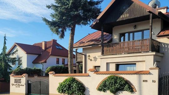 KRAJOBRAZY: Cukiernia MAR.S – pnącza w ogrodzeniu