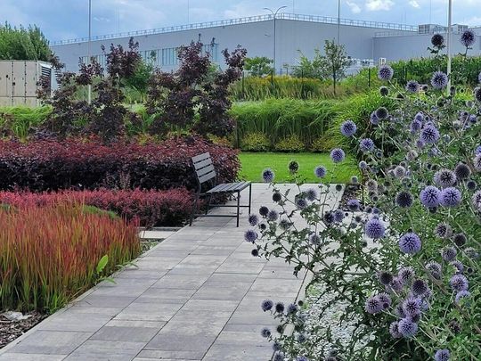 FIRMY: Modern-EXPO (Strefa Ekonomiczna) – firmowy ogród dla pracowników FIRMY: Modern-EXPO (Strefa Ekonomiczna) – firmowy ogród dla pracowników