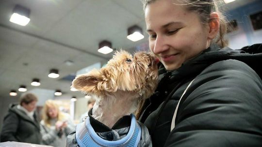 Targi dla Zwierzaków w CSK