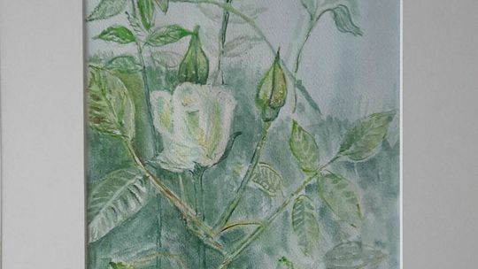 Dzieła na aukcję na rzecz fundacji EX LEGE