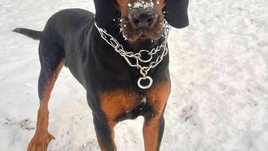 Pupile naszych Czytelników