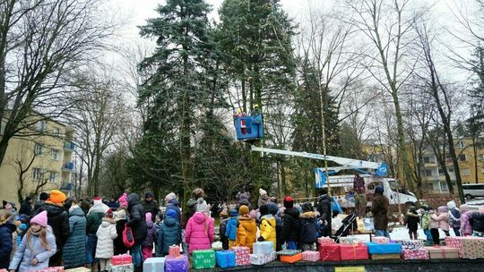 Żywa choinka na LSM już przystrojona