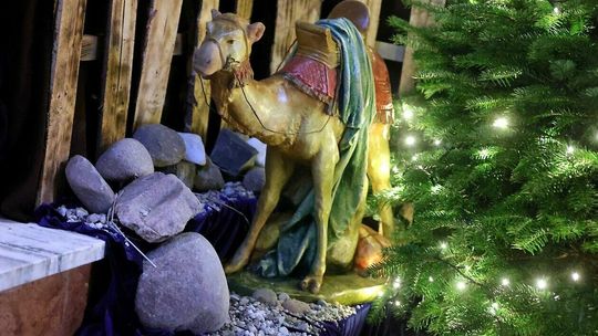 kościół Ojców Kapucynów 