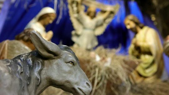 Archikatedra Lubelska