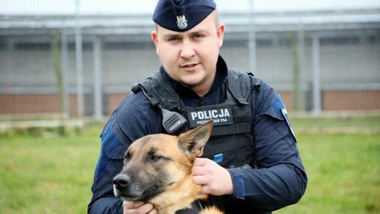 Psy policjanci Borys I Hugo Psy policjanci Borys I Hugo