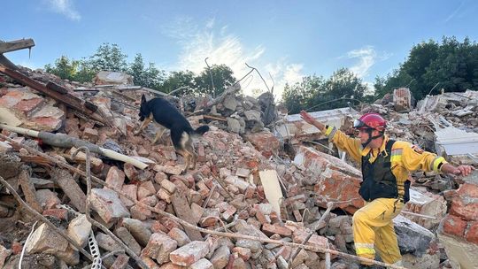 Psy w Straży Pożarnej Psy w Straży Pożarnej