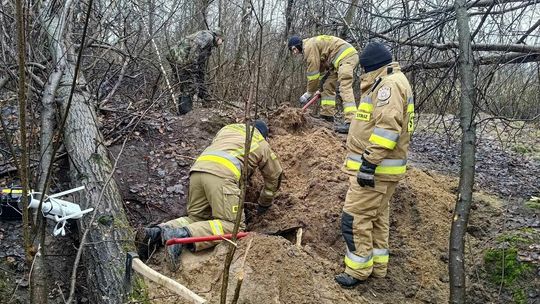 Szczeniaki uratowane 